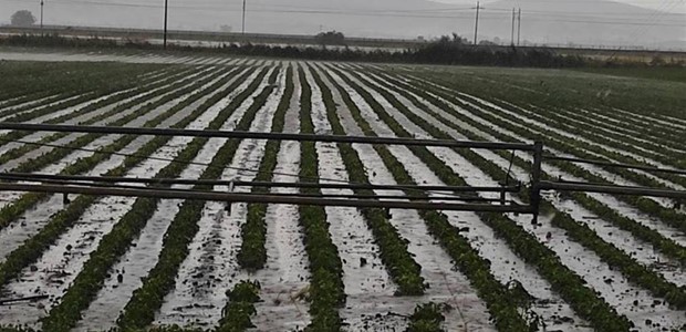 Σε ποιες περιοχές θα αποζημιωθούν οι αγρότες για τις πλημμύρες
