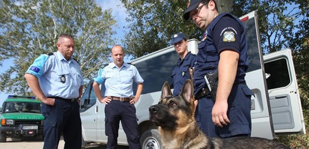 Αστυνομικός σκύλος «μπλόκαρε» ναρκωτικά
