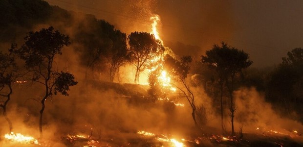 Η μεγαλύτερη δασική πυρκαγιά των τελευταίων 20 ετών