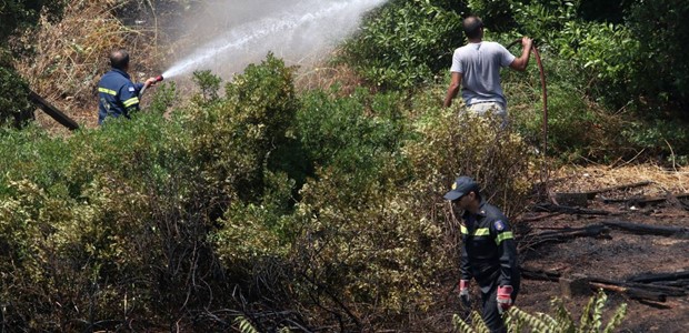 Υπό έλεγχο δύο πυρκαγιές σε Καρδιτσομάγουλα, Γελάνθη