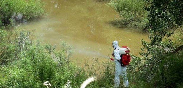 Πολύ χαμηλός ο κίνδυνος για τον ιό του Δυτικού Νείλου