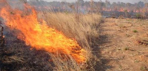 Tρίκαλα: Πολλές πυρκαγιές από την καύση χόρτων