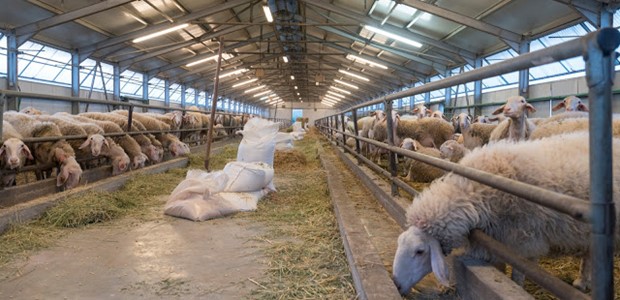 Kτηνοτρόφοι: Η "εξίσωση" δεν βγαίνει
