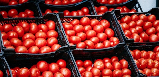 Κατασχέθηκαν 1.540 κιλά ντομάτας