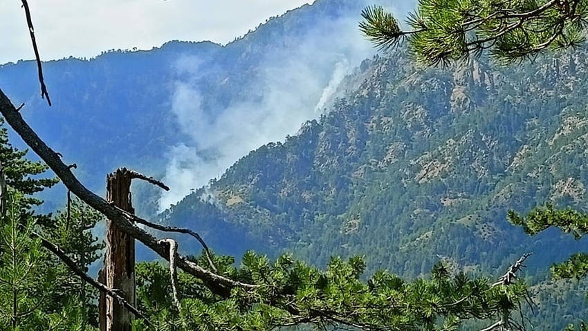 Έσβησε η φωτιά στον εθνικό δρυμό της Βάλια Κάλντα