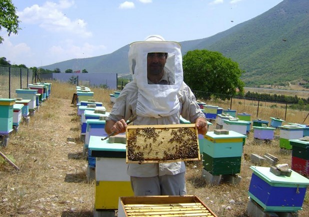 Εκπαιδεύονται στην εκτροφή βασιλισσών μελισσών