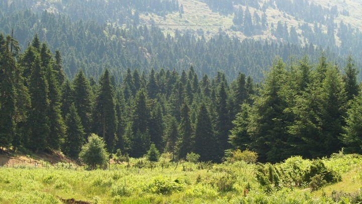 "Ταξίδι" στους μοναδικούς βιότοπους των Τρικάλων