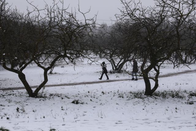 Καιρός: Έρχεται η κακοκαιρία "Διομήδης"