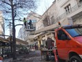 Δ. Λαρισαίων: Κλαδέματα δένδρων στο κέντρο της πόλης 
