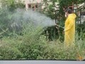 Ξεκίνησαν οι ψεκασμοί για την καταπολέμηση κουνουπιών