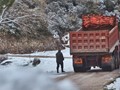 Σφοδρή χιονόπτωση σε όλη τη Μαγνησία